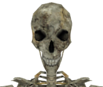 Skeleton - Dark Souls