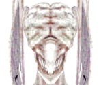 Batwing Demon - Dark Souls
