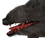 Great Feline - Dark Souls