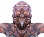 Infested Ghoul - Dark Souls
