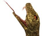Serpent Mage - Dark Souls