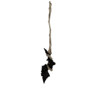 Demon's Catalyst - Dark Souls