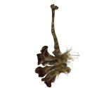 Demon's Greataxe - Dark Souls