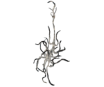 Oolacile Catalyst - Dark Souls