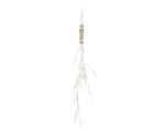 Oolacile Ivory Catalyst - Dark Souls