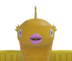 Fancy Goldfish - Major Minor's Majestic March