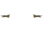 Ornstein's Gauntlets - Dark Souls