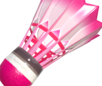 Shuttlecock - Nintendo Switch Sports