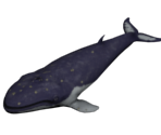 Whale - BioShock
