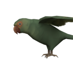Parrot - Metal Gear Solid 2: Sons of Liberty