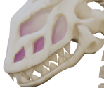 Skull Dragon - Rune Factory 5