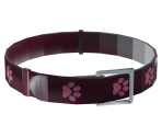 Cat Collar - Gone Home