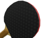 Paddle - Wii Sports Resort