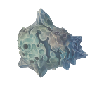 Meteor - Pokémon Super Mystery Dungeon