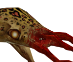 Bullsquid - Half-Life
