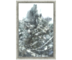 Painted World Entrance - Dark Souls