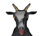 Goat (Pilgor) - Goat Simulator