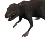 Rat - The Elder Scrolls III: Morrowind