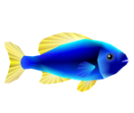 Fish - Super Mario Sunshine
