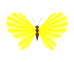 Butterflies - Super Mario Sunshine