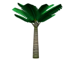 Sago Palm - Super Mario Sunshine