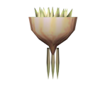 Onion - Banjo-Tooie
