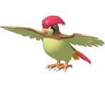 #017 Pidgeotto - Pokédex 3D Pro
