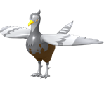 #521 Unfezant - Pokédex 3D Pro