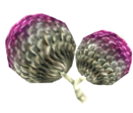 Fruit of Mandragora - Lost Kingdoms