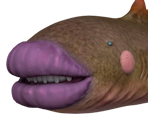 Sandbelching Meerslug - Pikmin 3