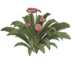 Flowers & Flower Pots - Sherlock Holmes: Crimes & Punishments