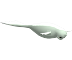 #087 Dewgong - Pokémon Battle Revolution