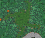 Jungle 3 - Disney Magical World 2