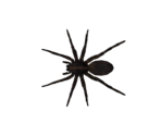 Wolf Spider - Marvel's Spider-Man Remastered