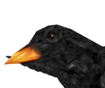 Crow - Dark Messiah of Might and Magic