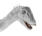 Diplodocus - Ark: Survival Evolved