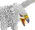 Griffin - Ark: Survival Evolved