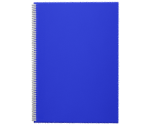 Notebooks - Baldi's Basics Customs