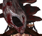 Moon Presence - Bloodborne