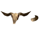 Cattle Bones - Showdown Bandit