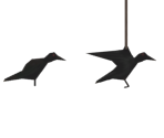Crow - Showdown Bandit