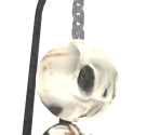 Clinic Skeleton Stand - Showdown Bandit