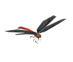 Dragonfly - Sonic Adventure 2: Battle