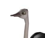 Ostrich - Postal Redux