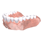 Behemoth Jaw - Pikmin 2