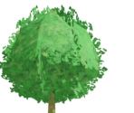 Tree - Wii Fit Plus