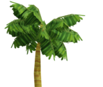 Palm Tree - Wii Fit Plus