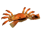 Crab (Low-Poly) - Madagascar