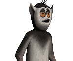 Julien - Madagascar