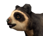 Spectacled Bear Baby - Zoo Tycoon 2